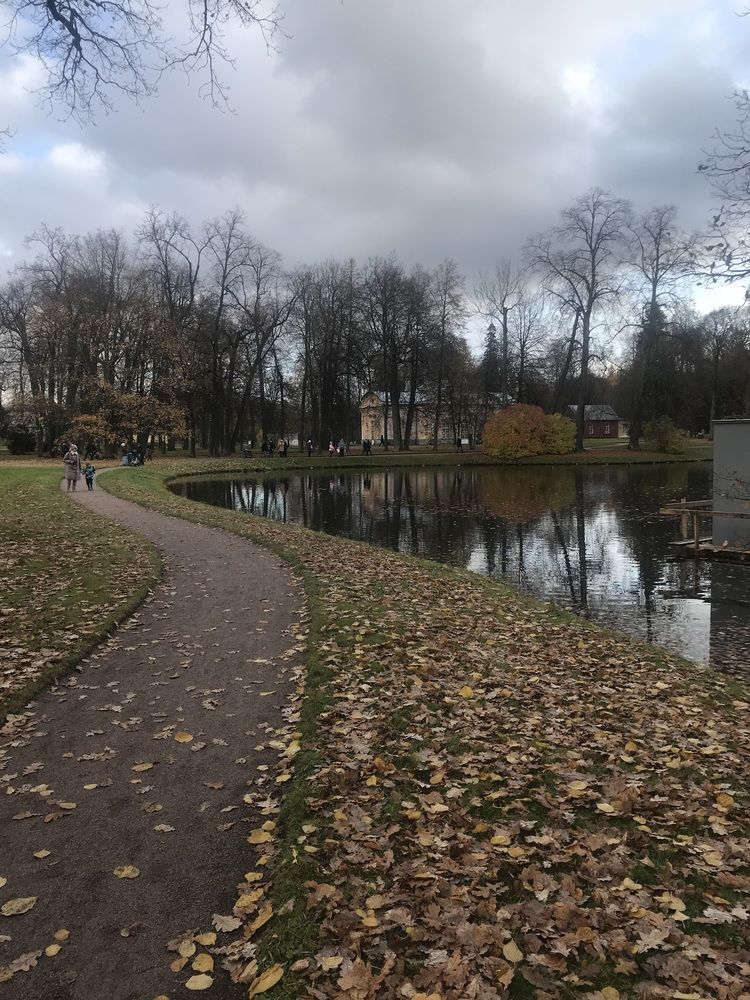 Photograph by Елена