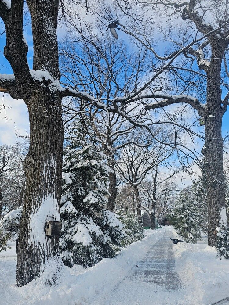 Photograph by Людмила Локтионова