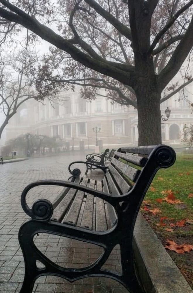 Photograph by Александр Чернега