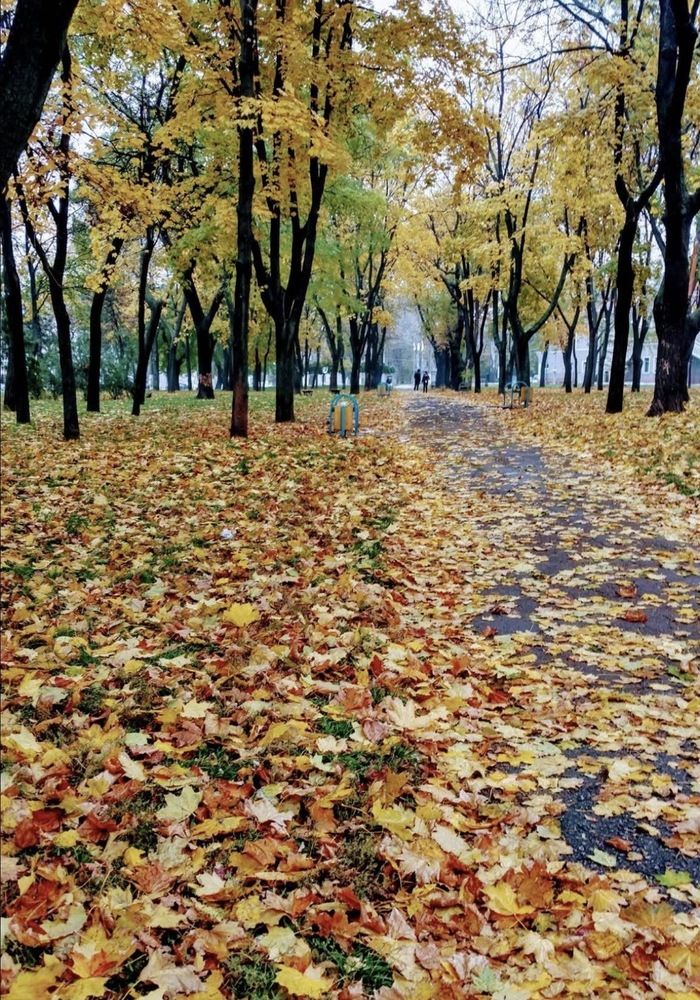 Photograph by Александр Чернега