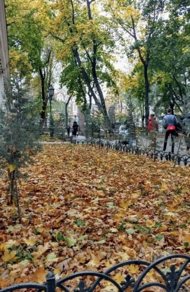 Photograph by Александр Чернега