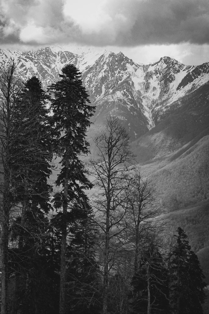 Photograph by Андрей Безгин