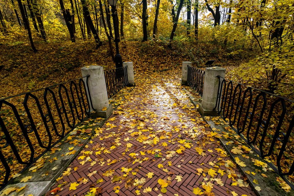 Photograph by Волынский Виктор