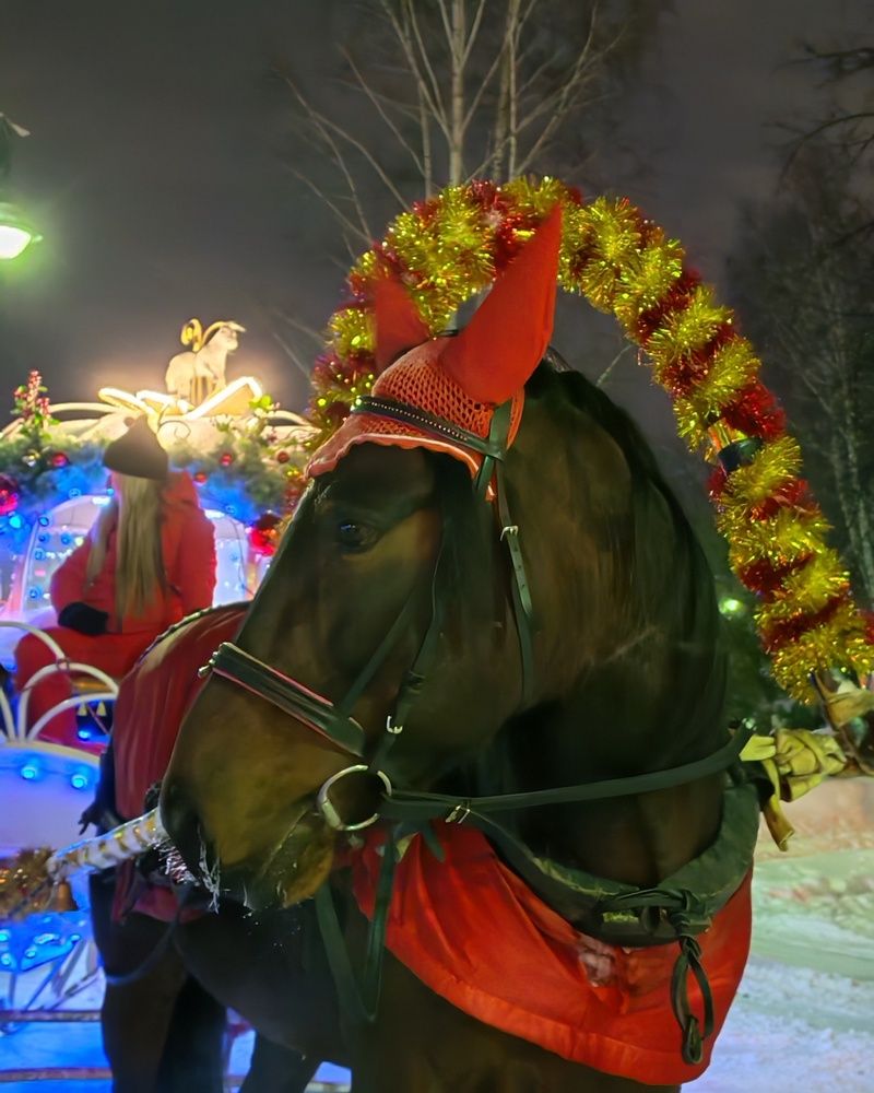 Photograph by Альбина Майкова