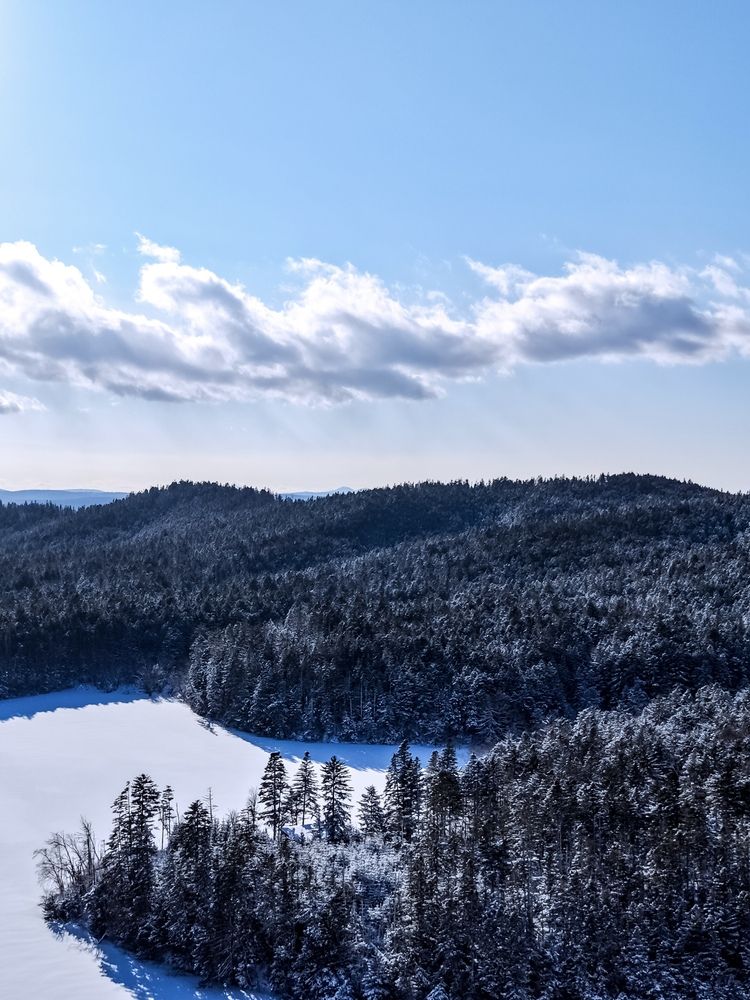 Фотография автора Елена Меньшикова