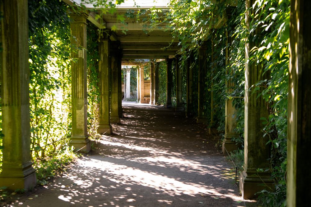 Photograph by Марина Морева