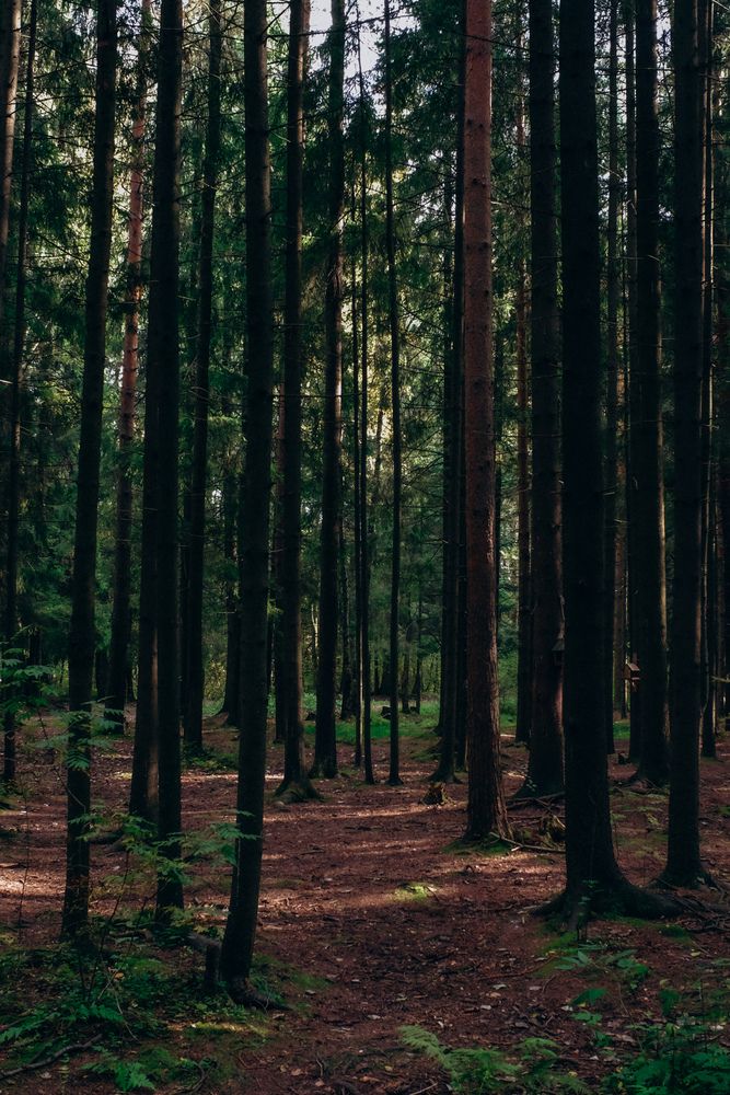 Photograph by Александра Кишикова