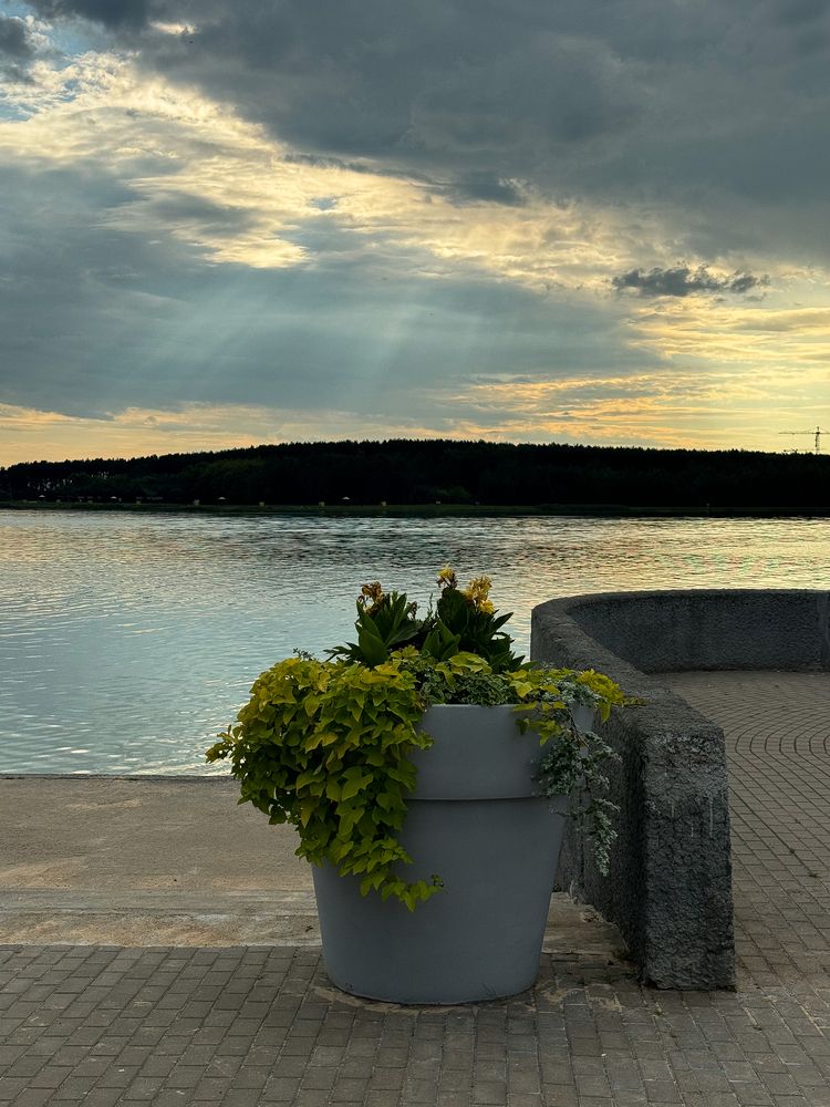 Фотография автора Анна Балабан