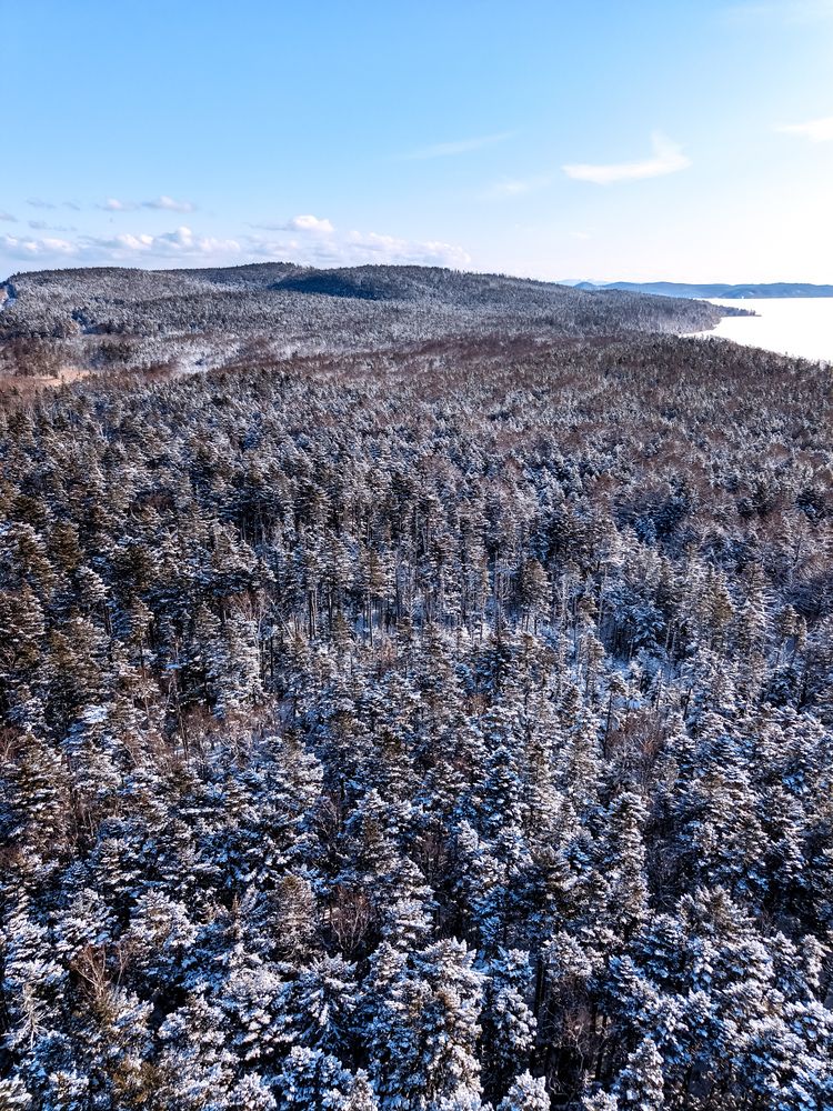 Фотография автора Елена Меньшикова