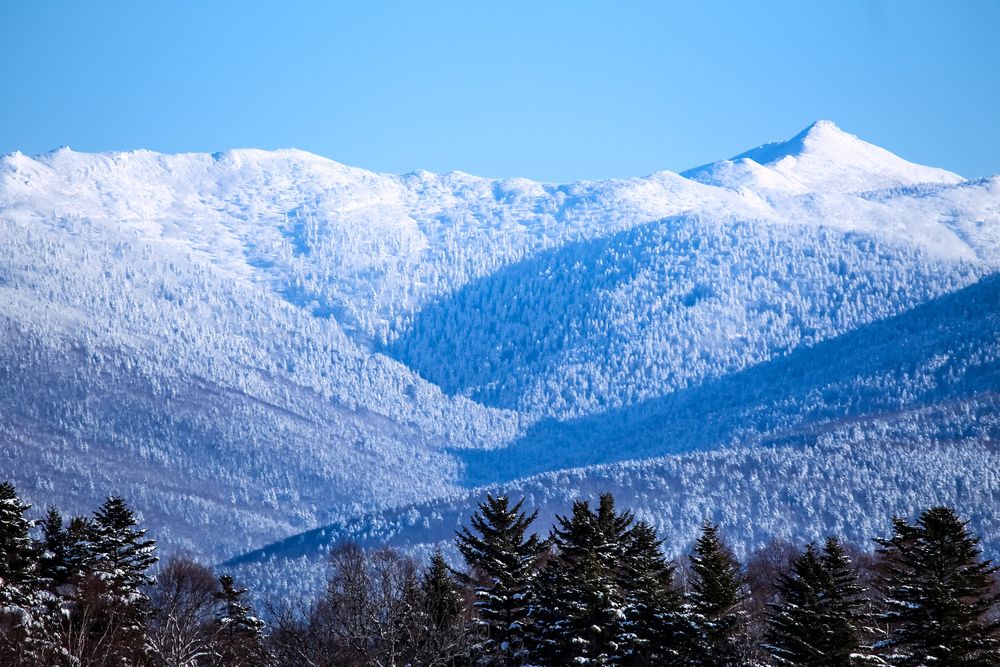 Фотография автора Елена Меньшикова