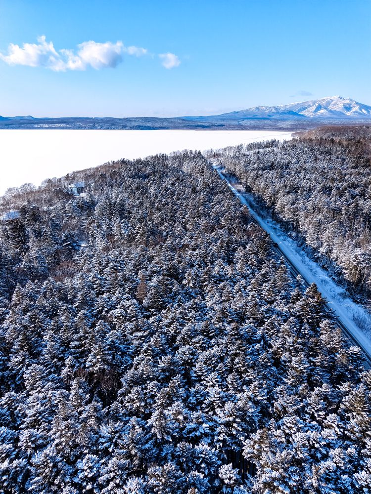 Фотография автора Елена Меньшикова