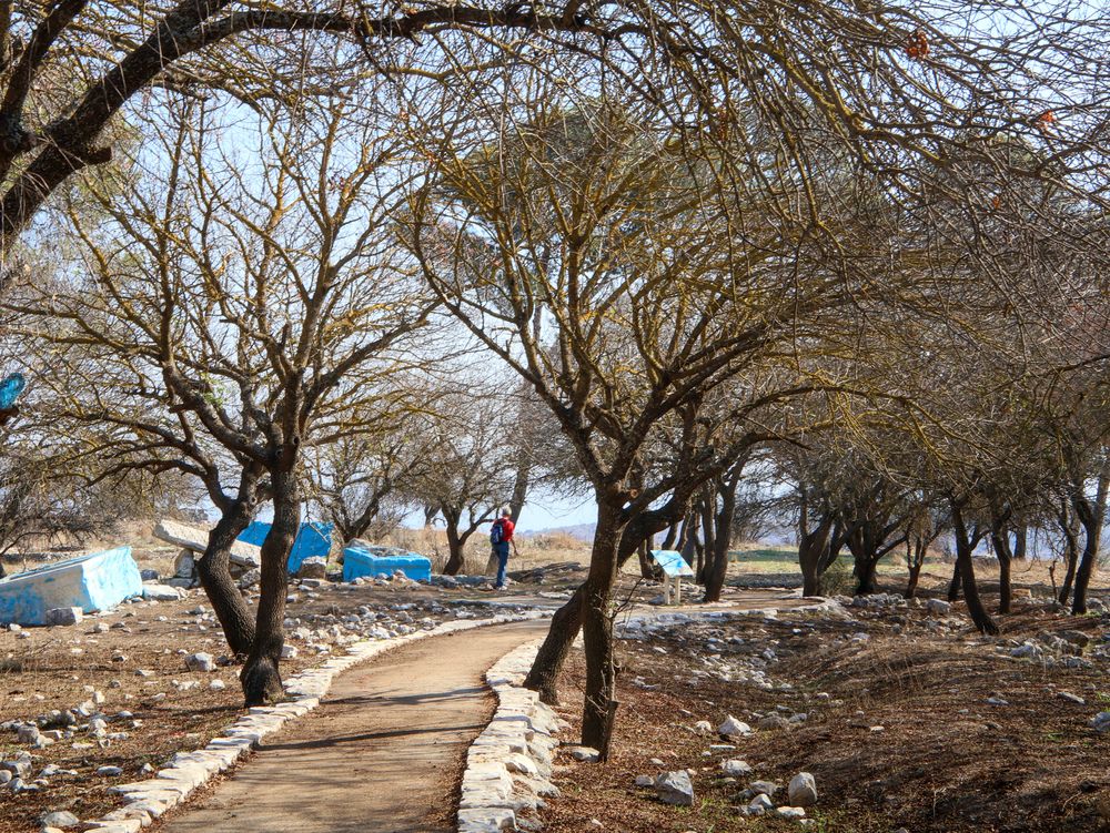 Photograph by Светлана Ханина