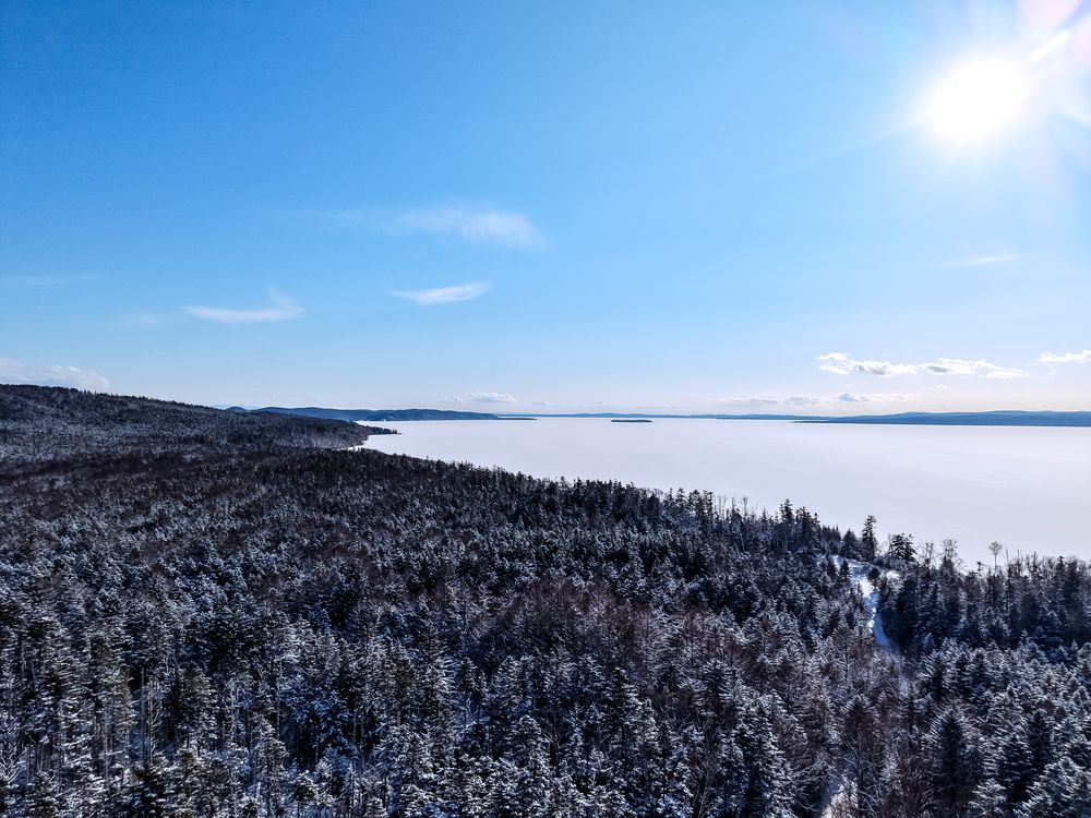 Фотография автора Елена Меньшикова