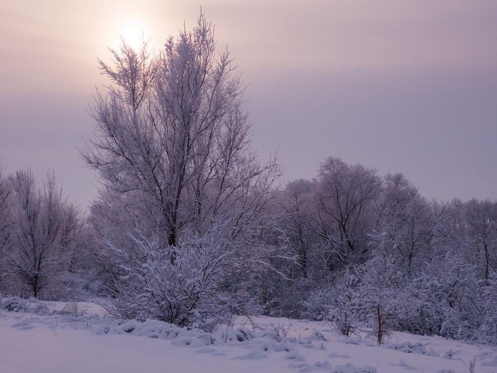 Photograph by Игорь Кабанов