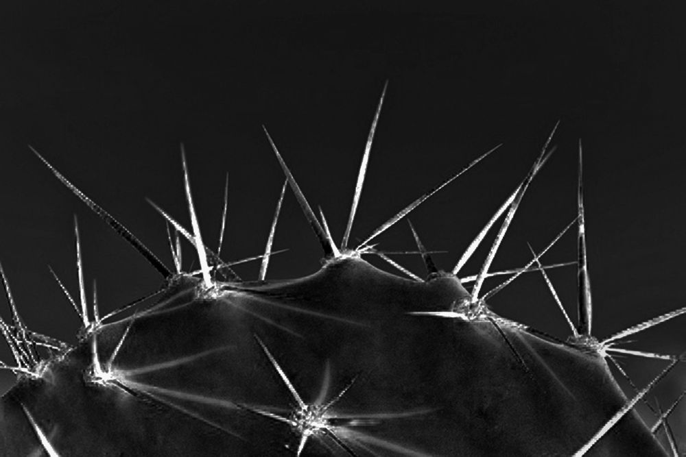 Photograph by Vy Van Bui