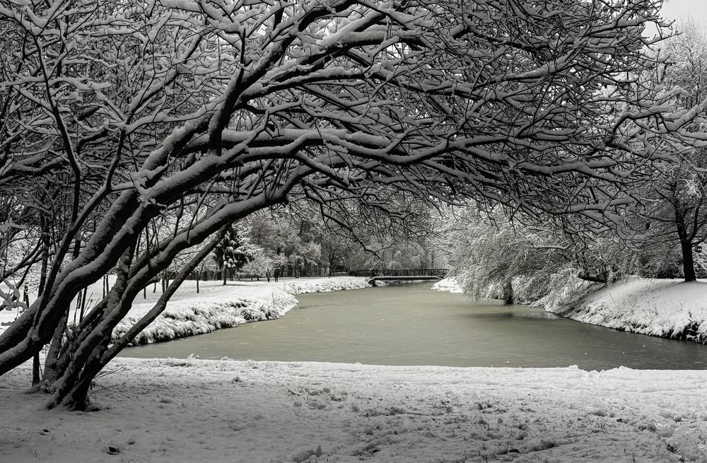 Photograph by Гордий Михаил