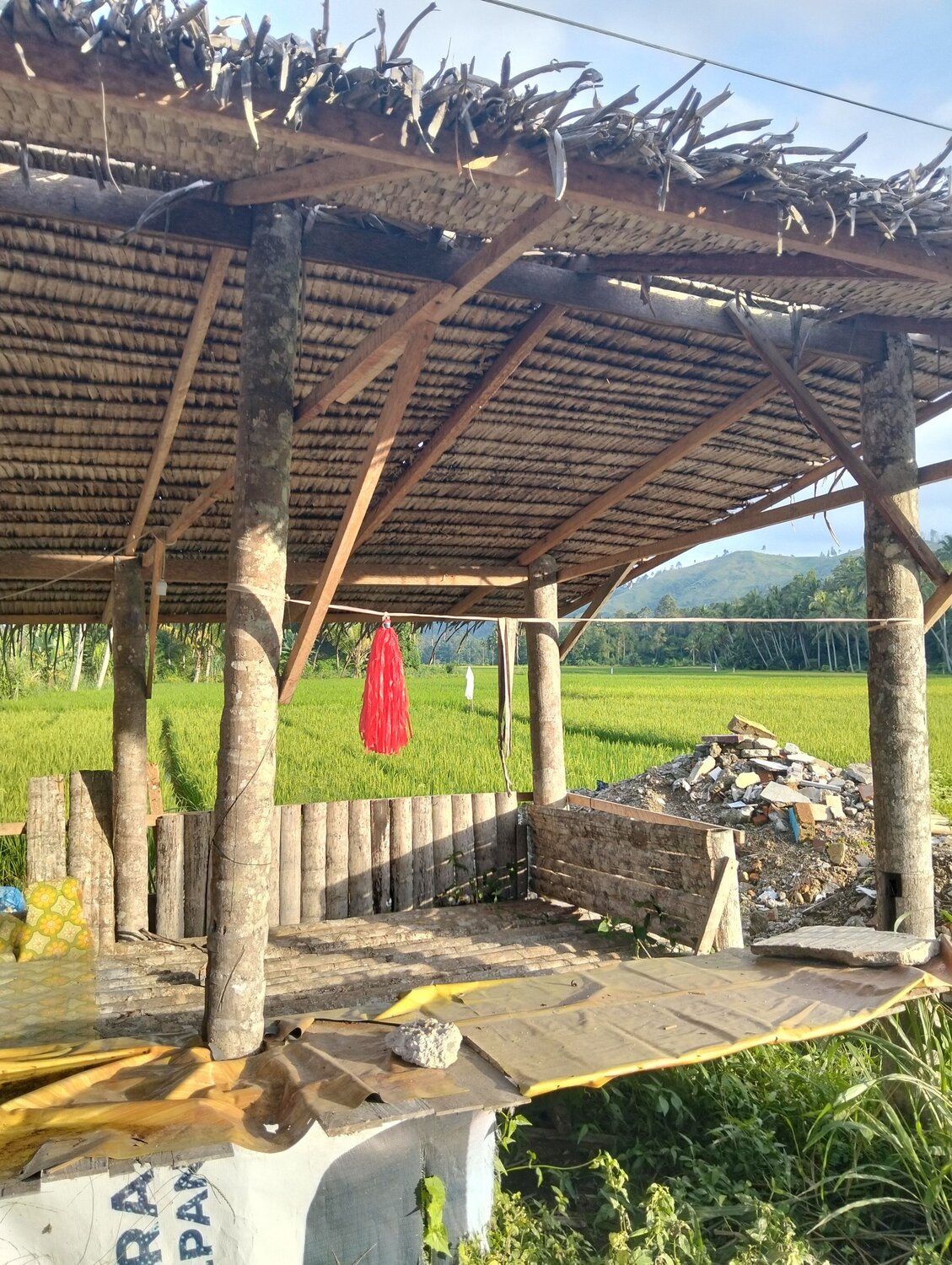 Photo #13058082