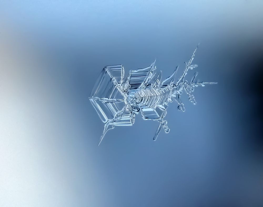 Ледяной мир