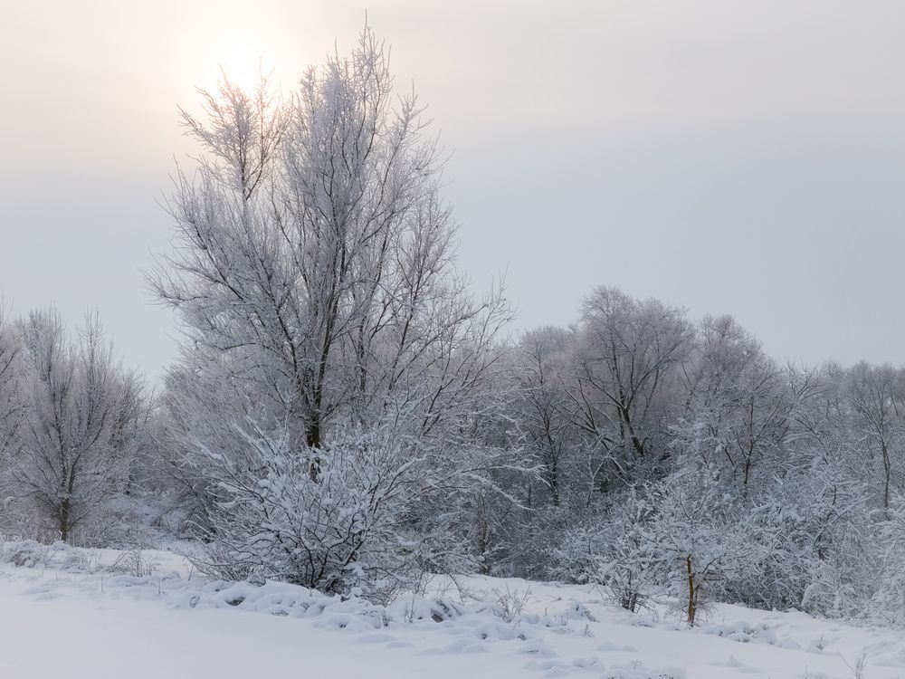 Photograph by Игорь Кабанов