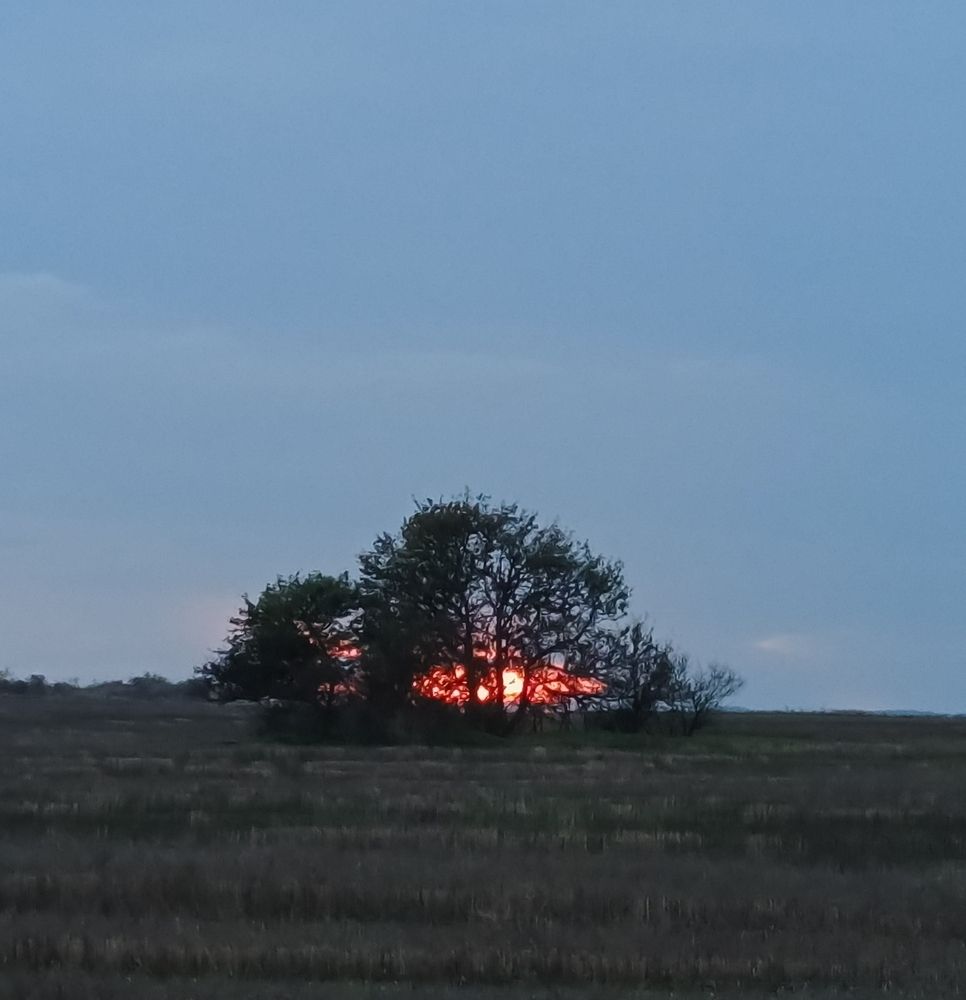 Photograph by Ольга