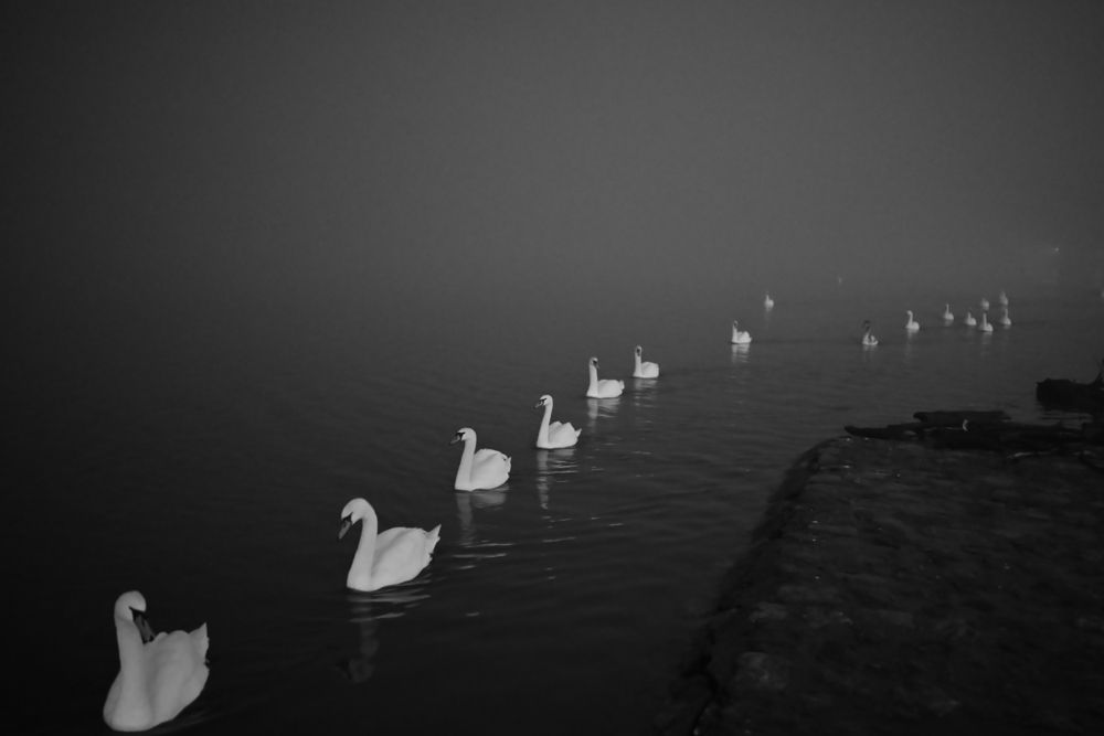 Photograph by Бирюков Сергей