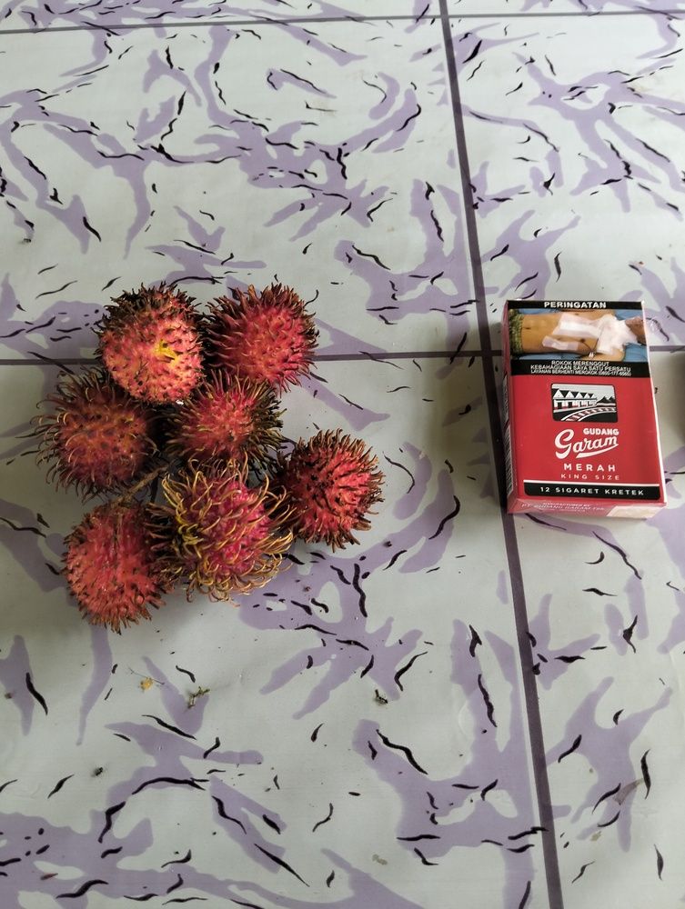 Photo #13058122