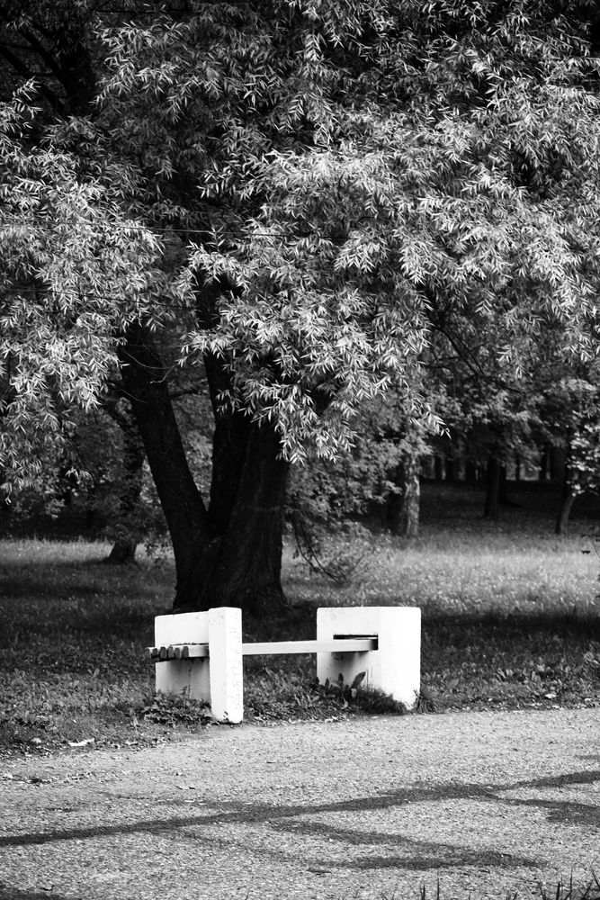 Photograph by Студия НЭКСТ