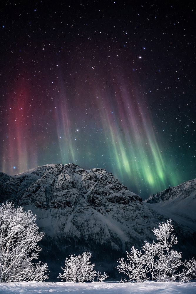 Noruega