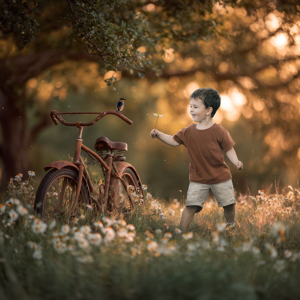 Photograph by Elizabeth Martos