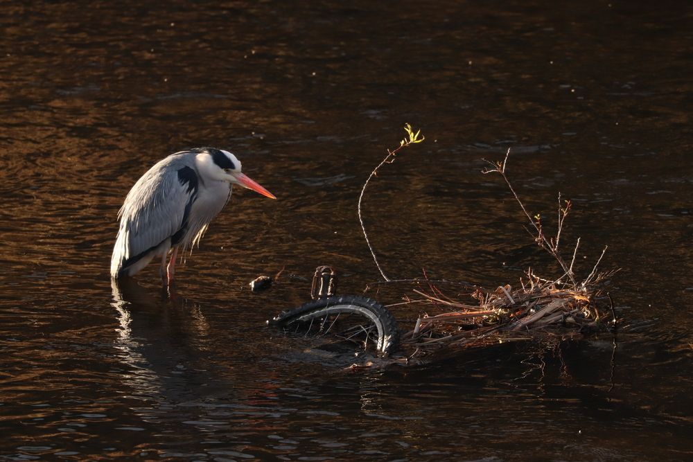 Photograph by Se Lena