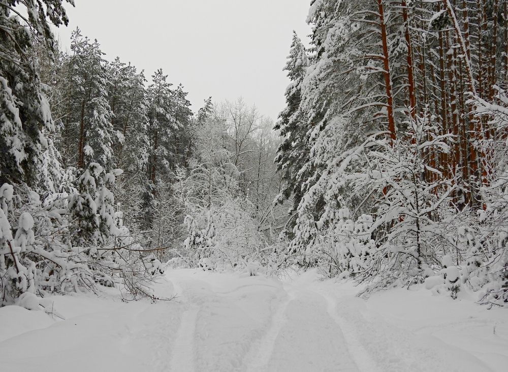 Photograph by Игорь Носков (Домненко)