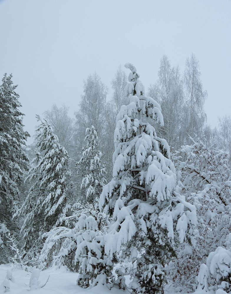 Photograph by Игорь Носков (Домненко)