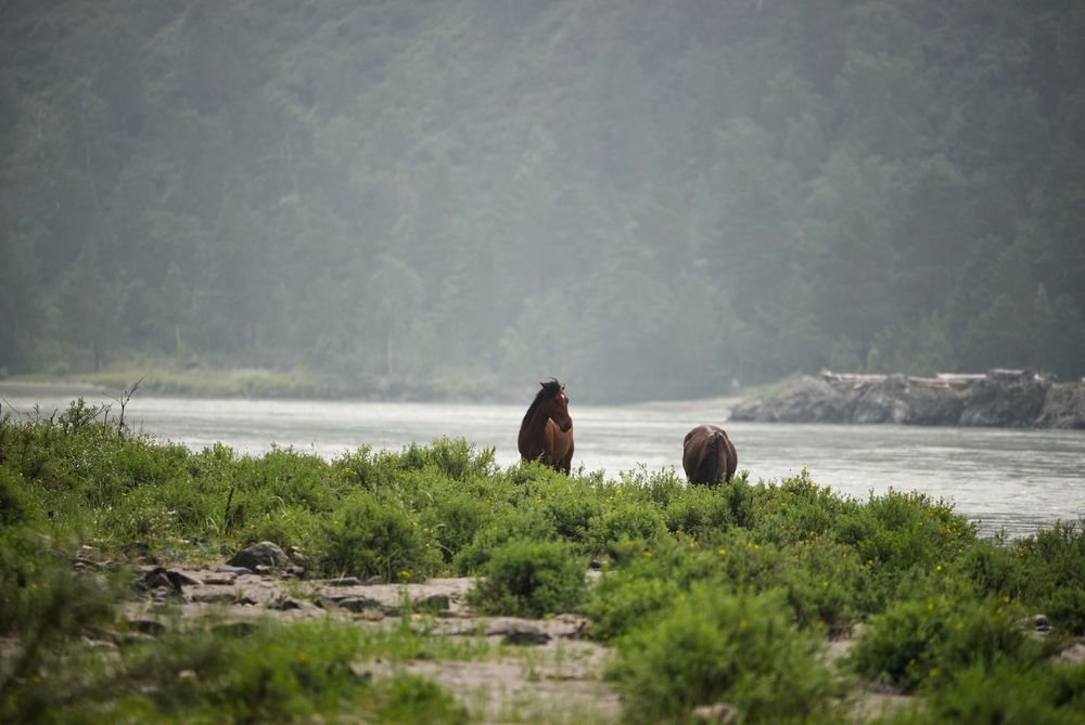 Photograph by Михаил Рогачев