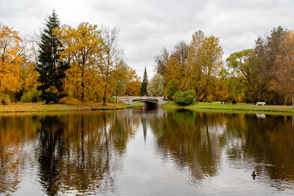 Photograph by Семенов Александр
