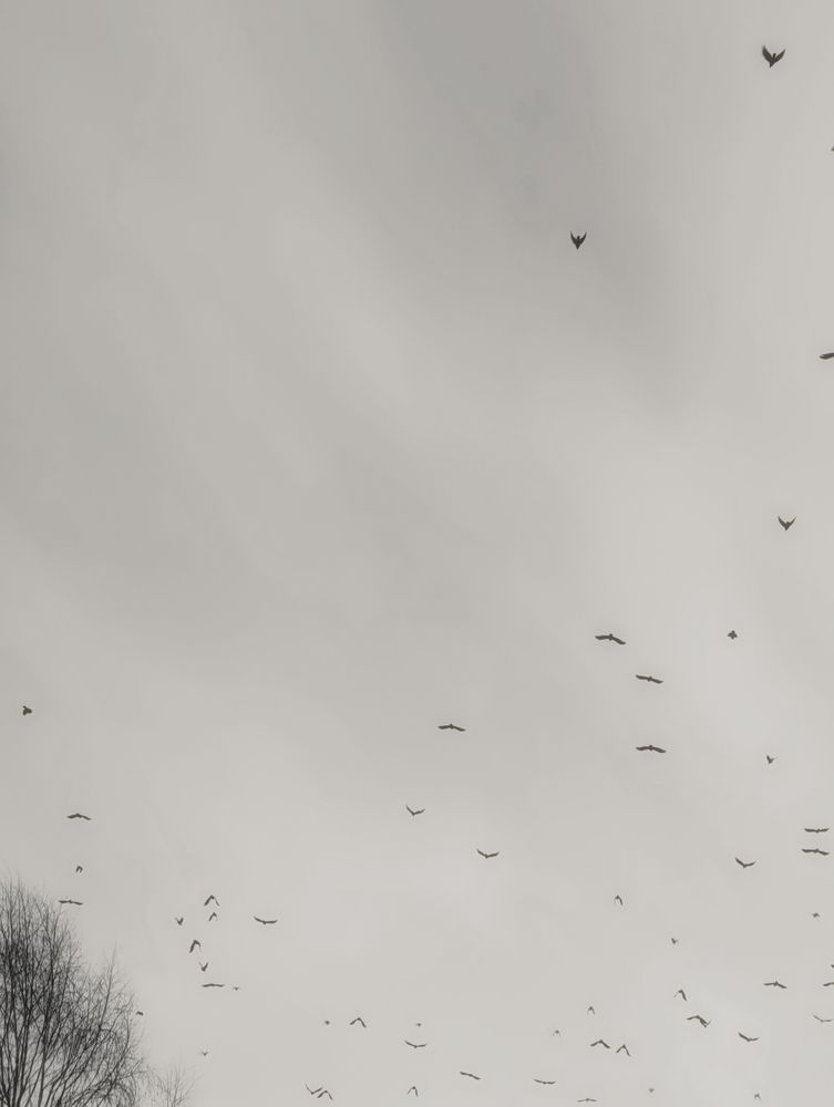 Photograph by Наталья Смирнова