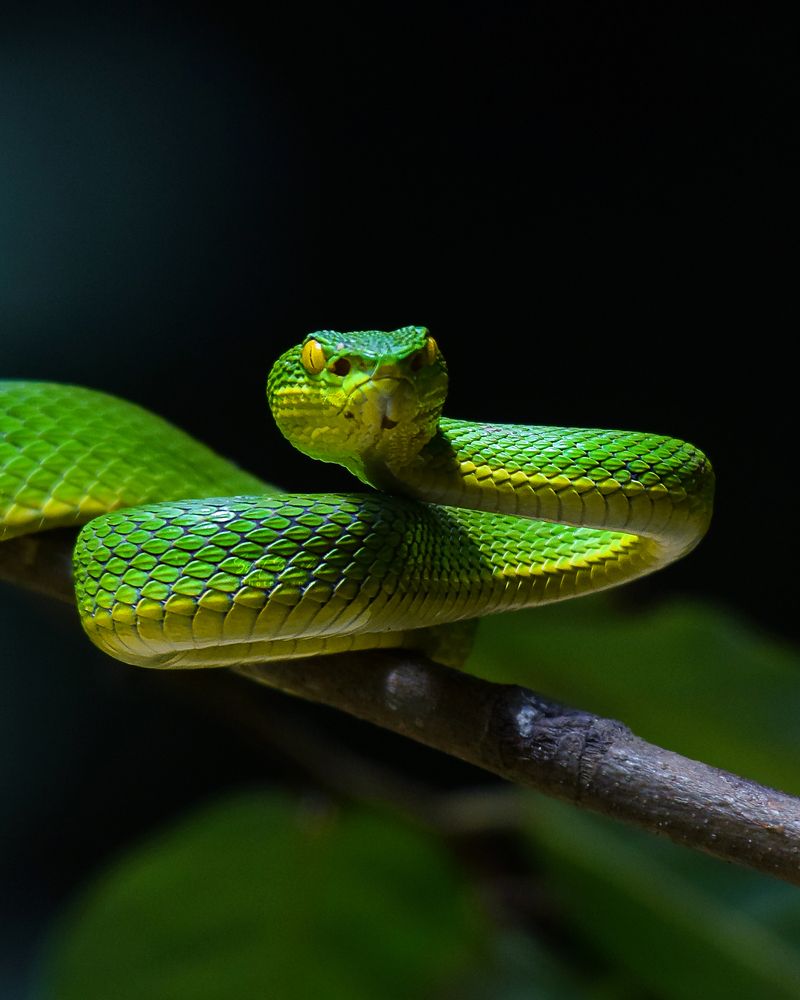 Photograph by Sifat Sharker