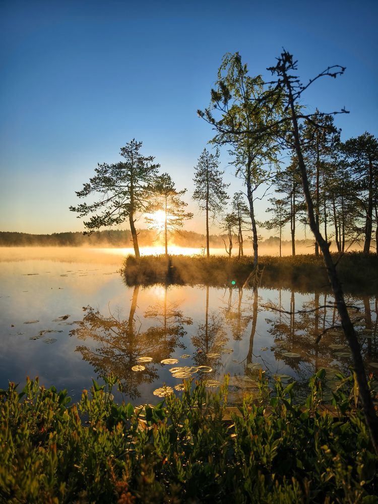 Photograph by Михаил Азаров