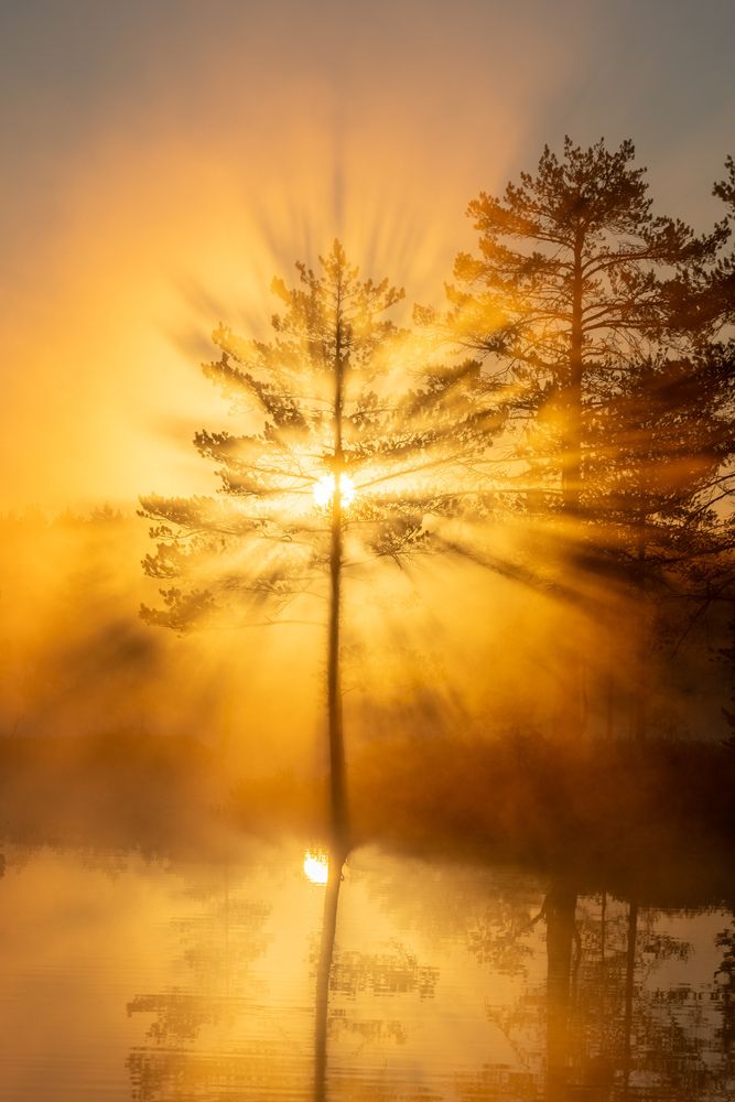 Photograph by Михаил Азаров