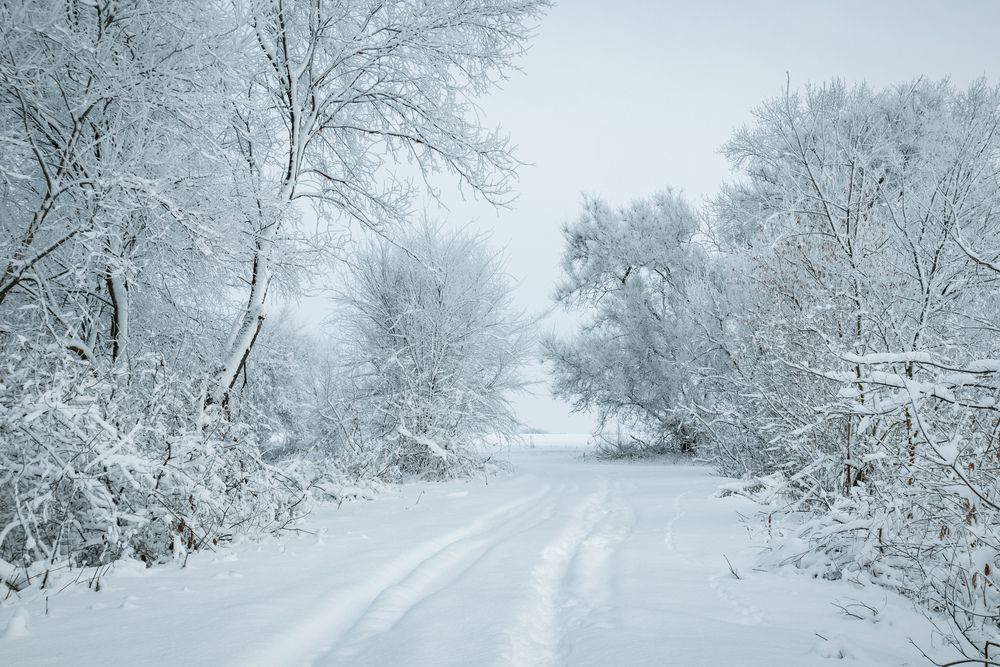 Photograph by Игорь Кабанов