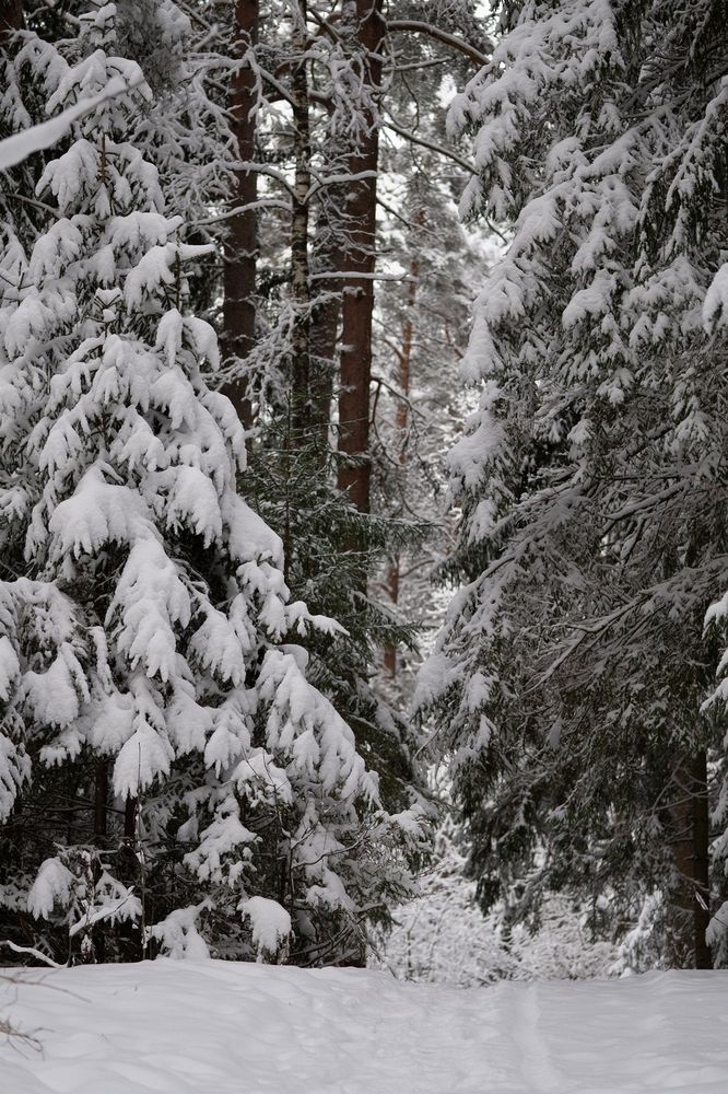 Photograph by Екатерина Одинцова