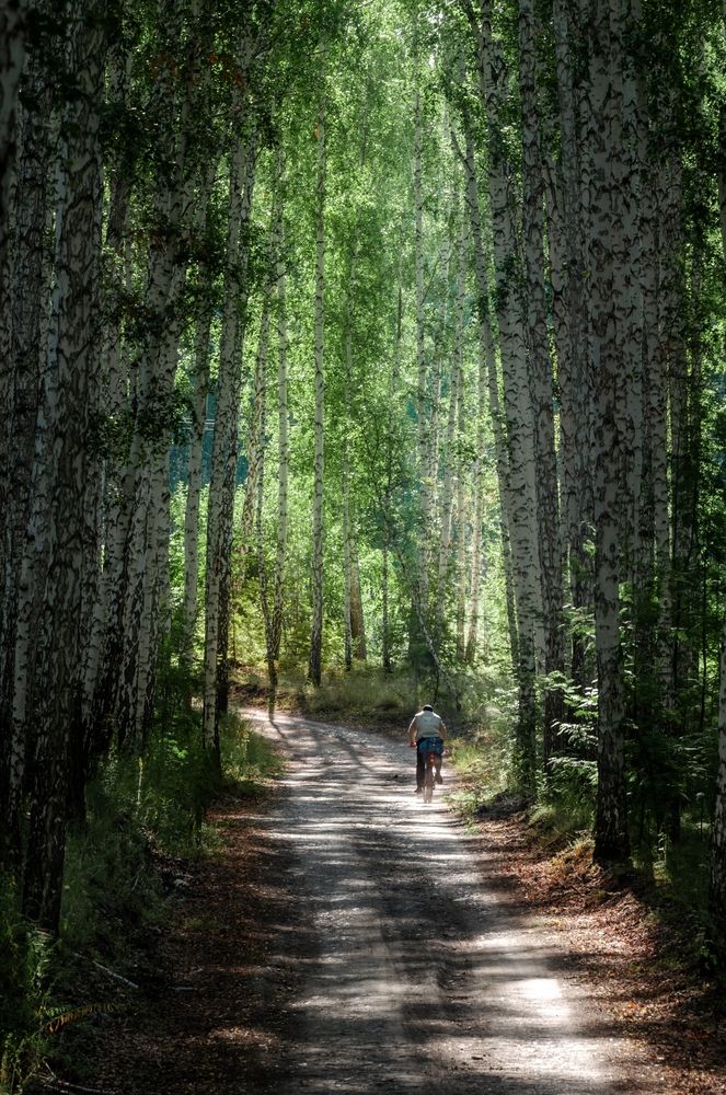 Photograph by Павел Сидоров