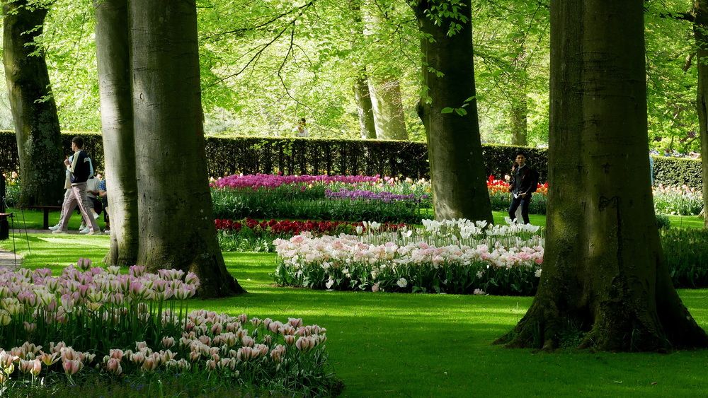 Photograph by Владимир Лобанов