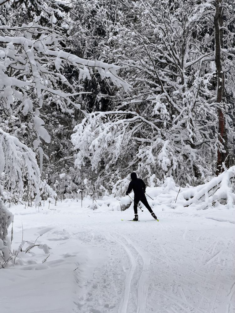 Photograph by Дмитрий Костяков