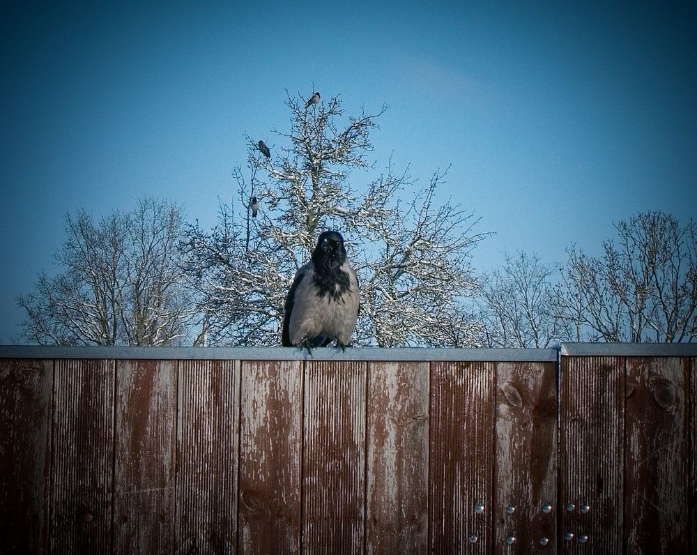 Photograph by Aleksandra Bistrova