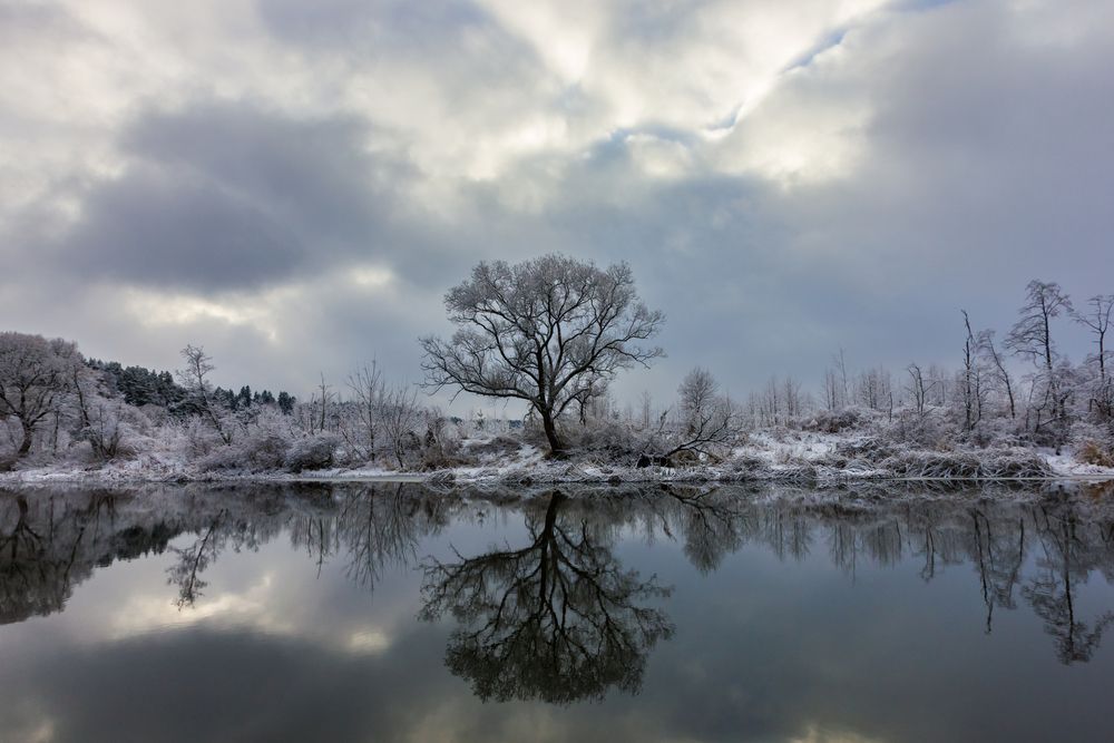 Фотография автора Алексей Соколов