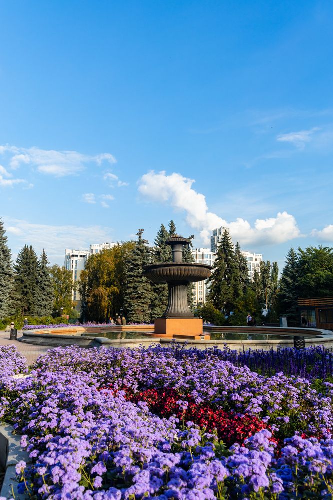 Фотография автора Артём Пышкин