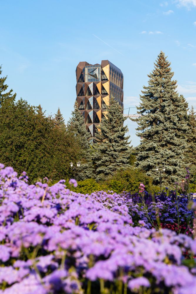 Фотография автора Артём Пышкин