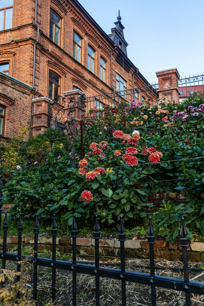 Фотография автора Артём Пышкин