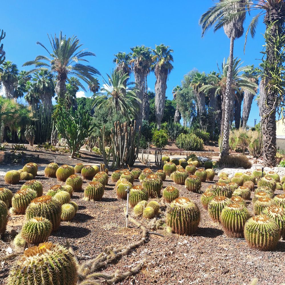 Photograph by Yulia Rotbach