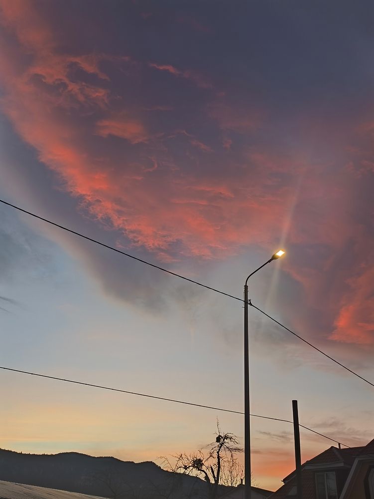 Фотография автора Ольга Некрасова